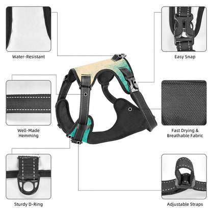 Flow Pet Harness & Leash Set – Breathable Mesh Vest