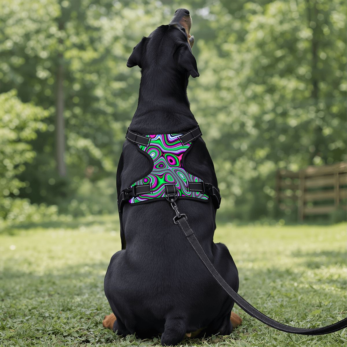 Neon Groove Pet Harness & Leash Set - Reflective & Breathable
