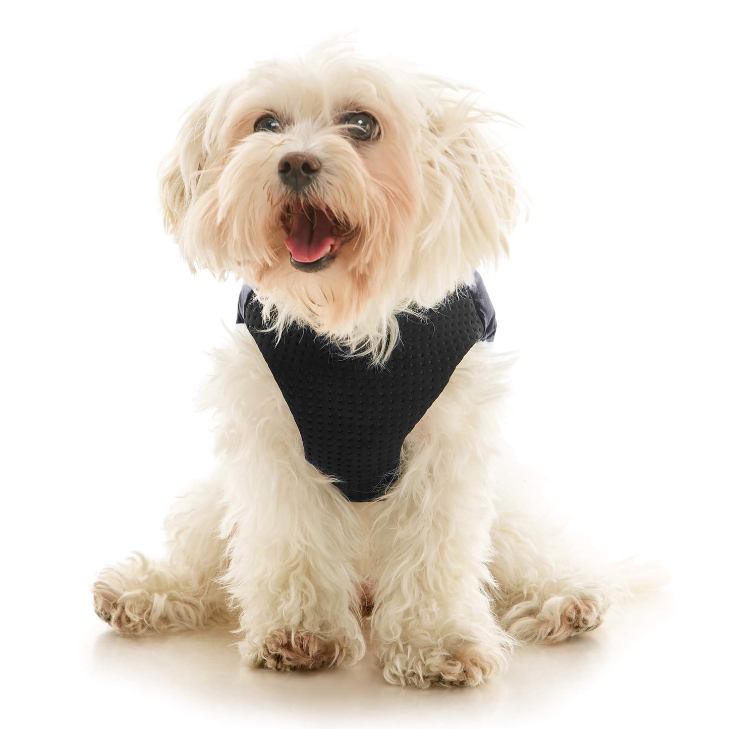 Padded Vest Lift
