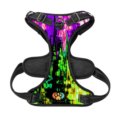 Neon Vibes Pet Harness and Leash Set – Reflective & Breathable