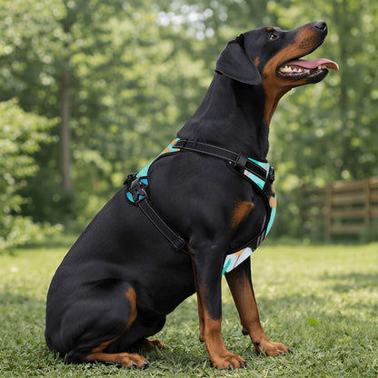 Graffiti Pet Harness And Leash Set – Reflective & Breathable