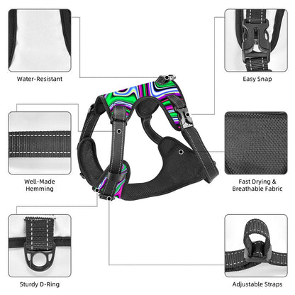 Neon Groove Pet Harness & Leash Set - Reflective & Breathable