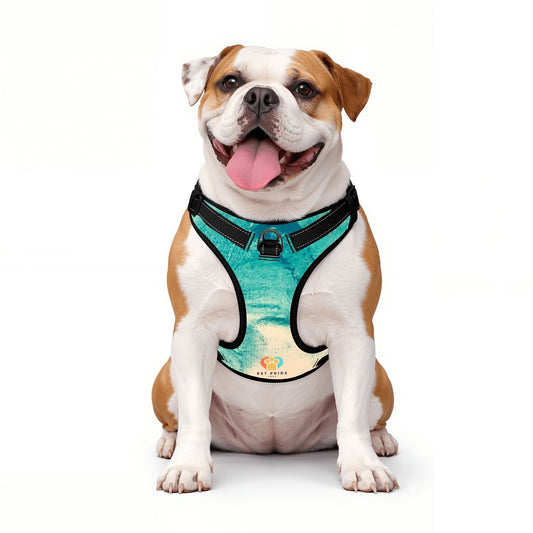 Flow Pet Harness & Leash Set – Breathable Mesh Vest