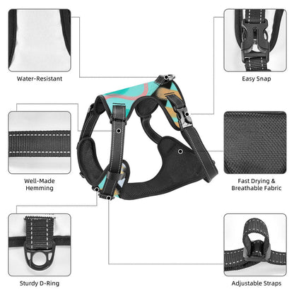 Graffiti Pet Harness And Leash Set – Reflective & Breathable