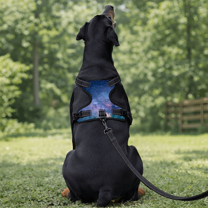 Deep Space Pet Harness and Leash Set - Reflective & Breathable