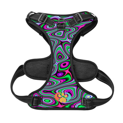 Neon Groove Pet Harness & Leash Set - Reflective & Breathable