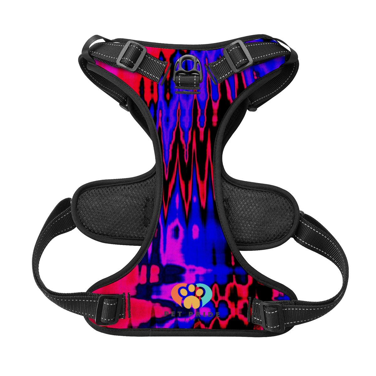 Rave Pet Harness and Leash Set – Adjustable & Comfy