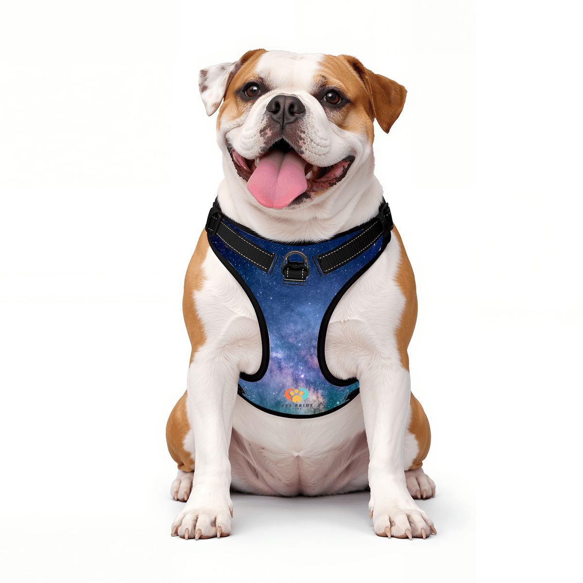 Deep Space Pet Harness and Leash Set - Reflective & Breathable
