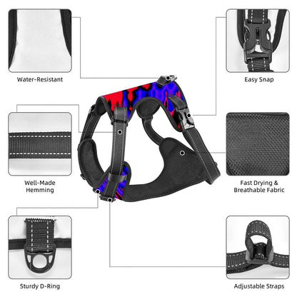 Rave Pet Harness and Leash Set – Adjustable & Comfy