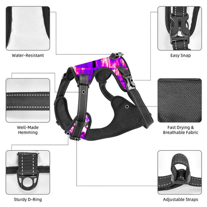 Neon Vibes Pet Harness and Leash Set – Reflective & Breathable