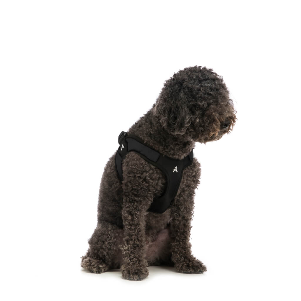Escape Free® Easy Fit Harness