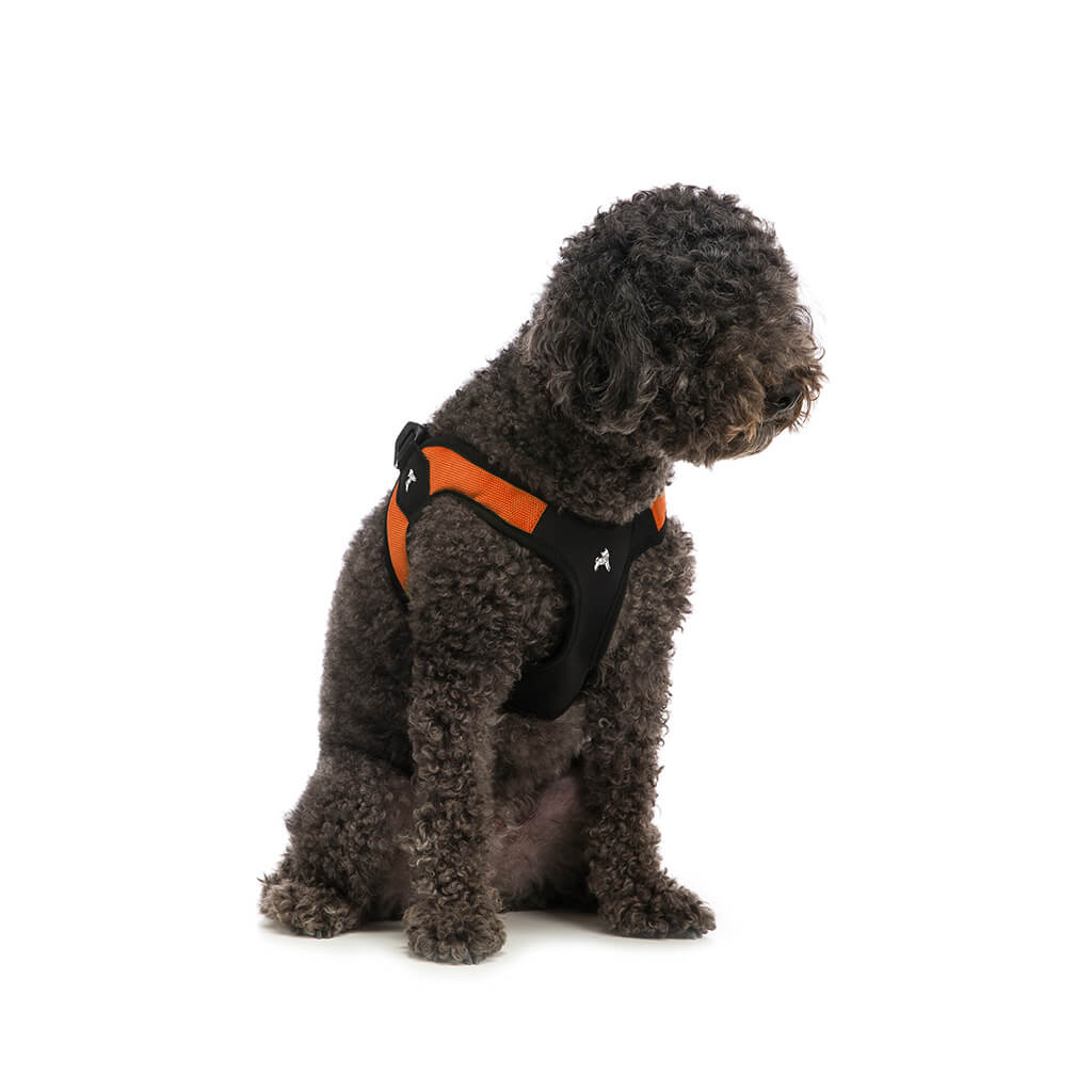 Escape Free® Easy Fit Harness