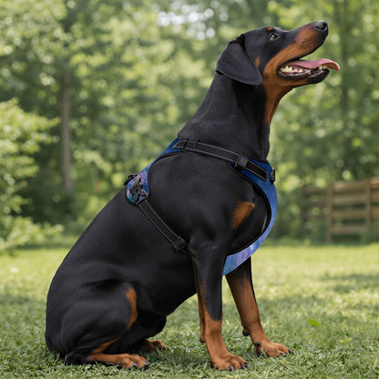 Deep Space Pet Harness and Leash Set - Reflective & Breathable