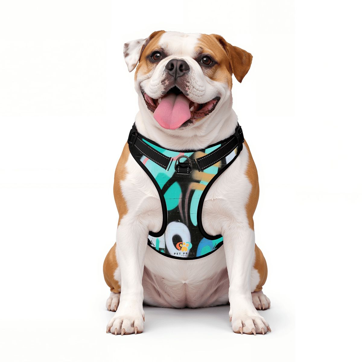 Graffiti Pet Harness And Leash Set – Reflective & Breathable