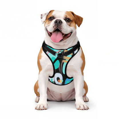 Graffiti Pet Harness And Leash Set – Reflective & Breathable
