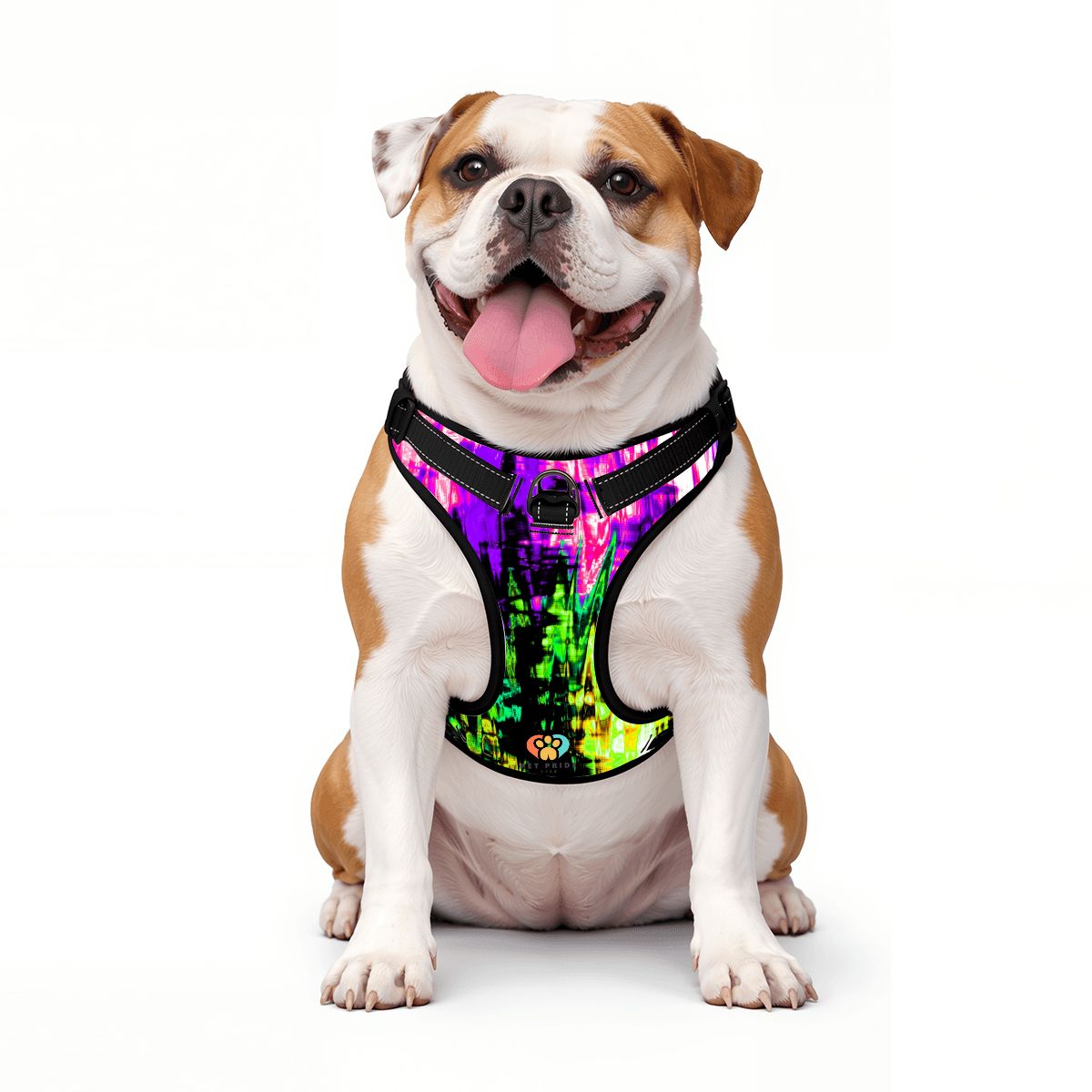 Neon Vibes Pet Harness and Leash Set – Reflective & Breathable