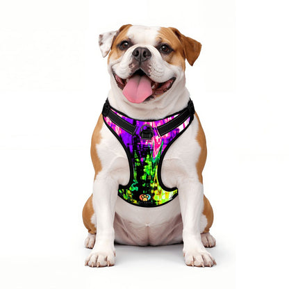 Neon Vibes Pet Harness and Leash Set – Reflective & Breathable
