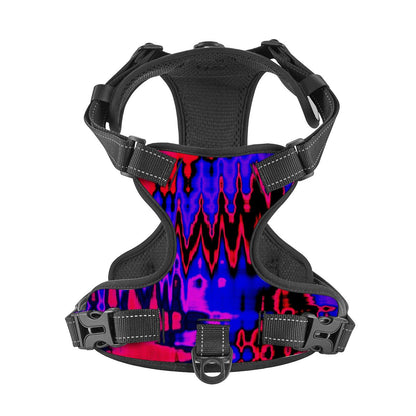 Rave Pet Harness and Leash Set – Adjustable & Comfy