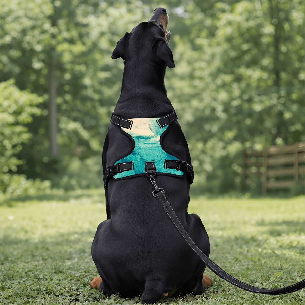 Flow Pet Harness & Leash Set – Breathable Mesh Vest