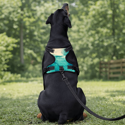 Flow Pet Harness & Leash Set – Breathable Mesh Vest