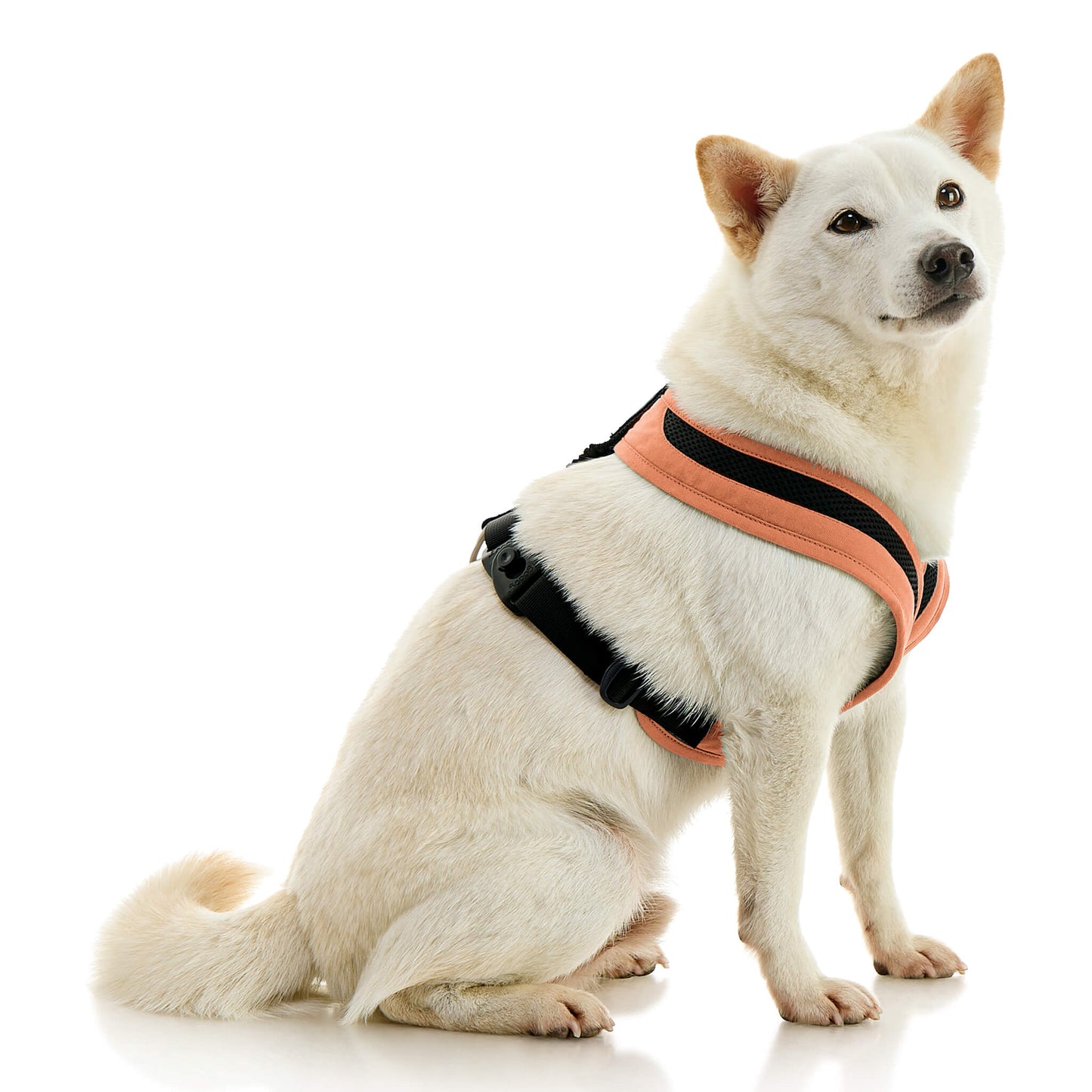 Escape Free Comfort X One Harness