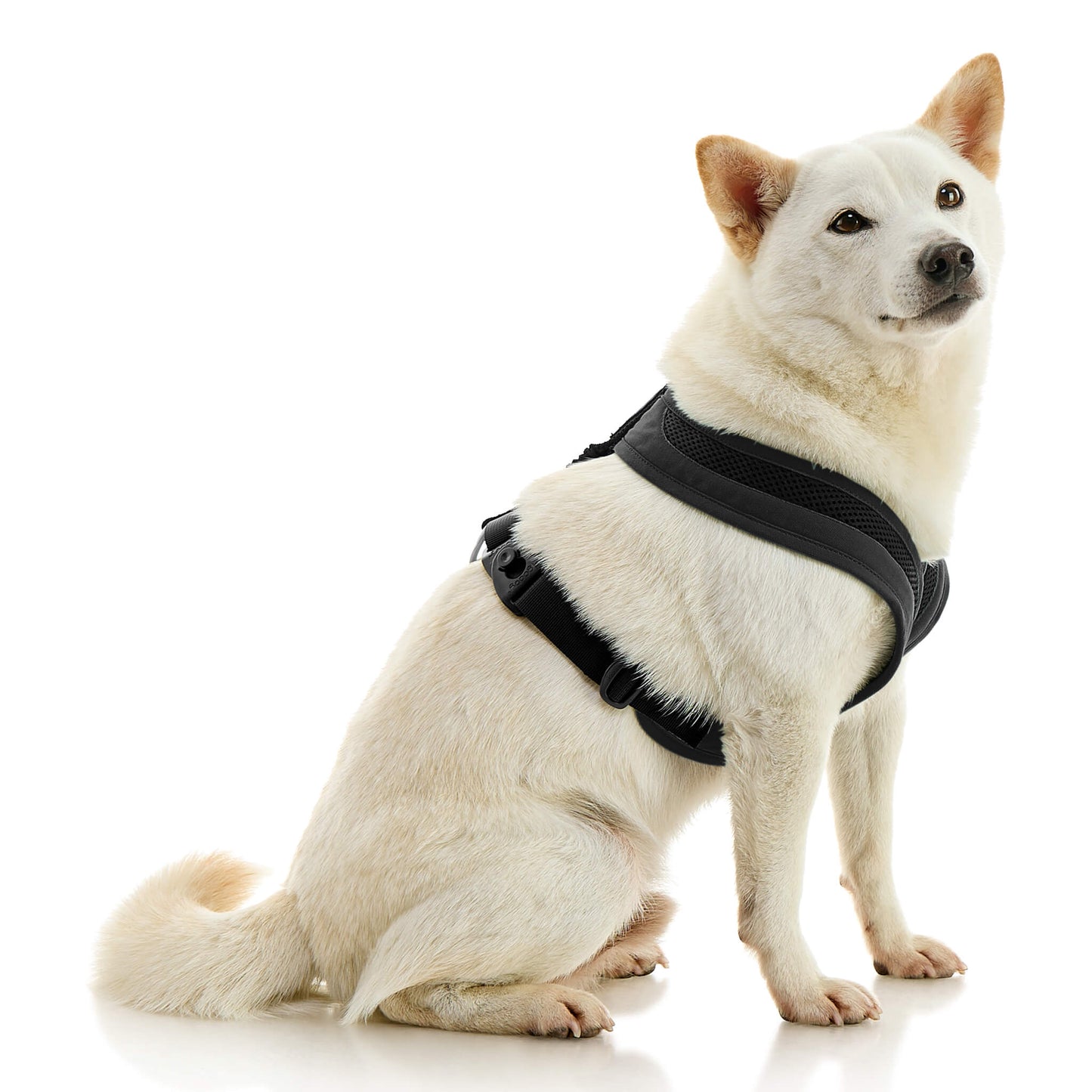 Escape Free Comfort X One Harness