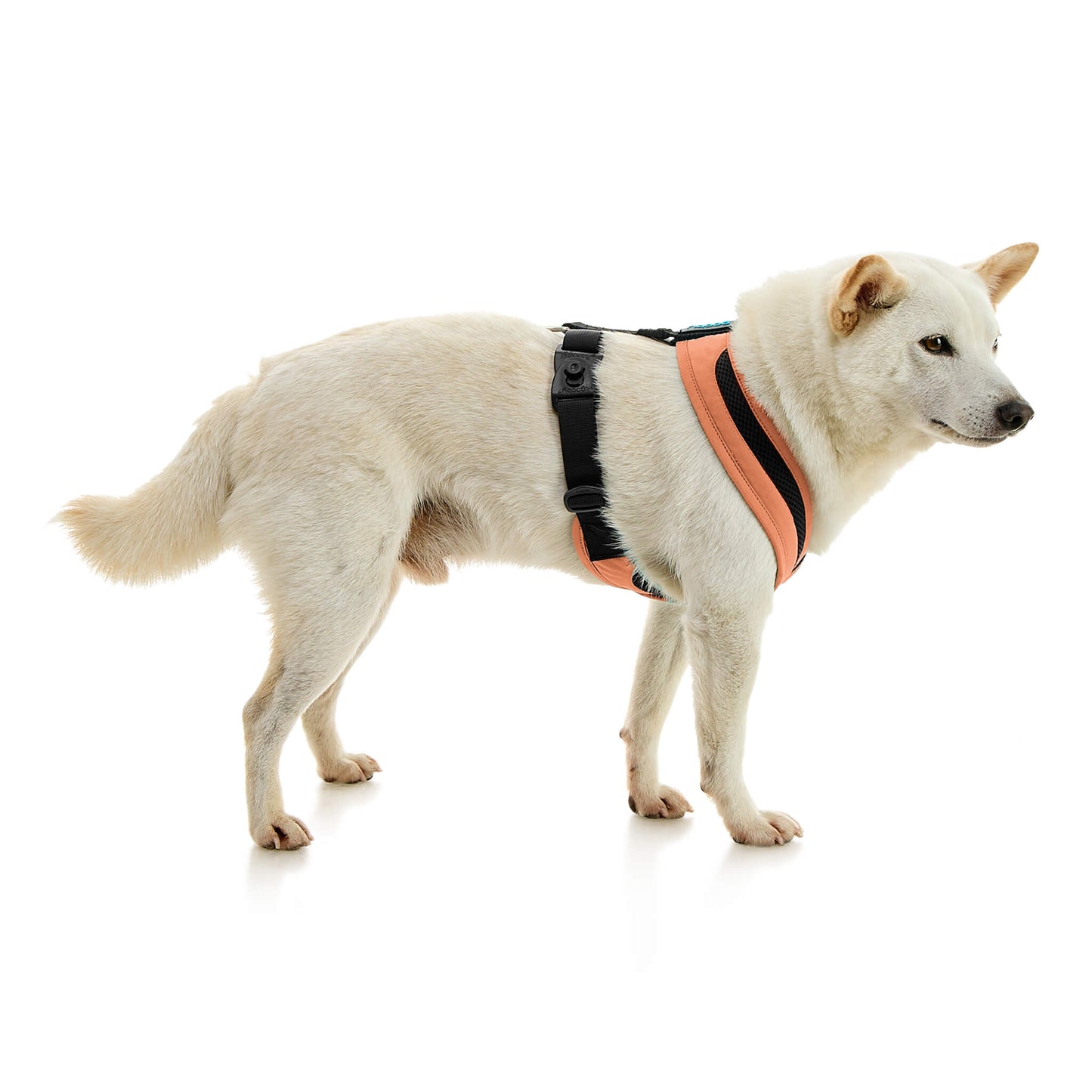 Escape Free Comfort X One Harness