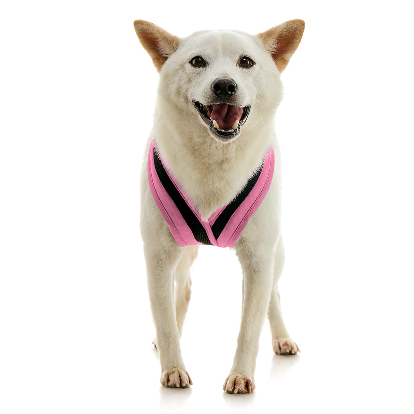 Escape Free Comfort X One Harness