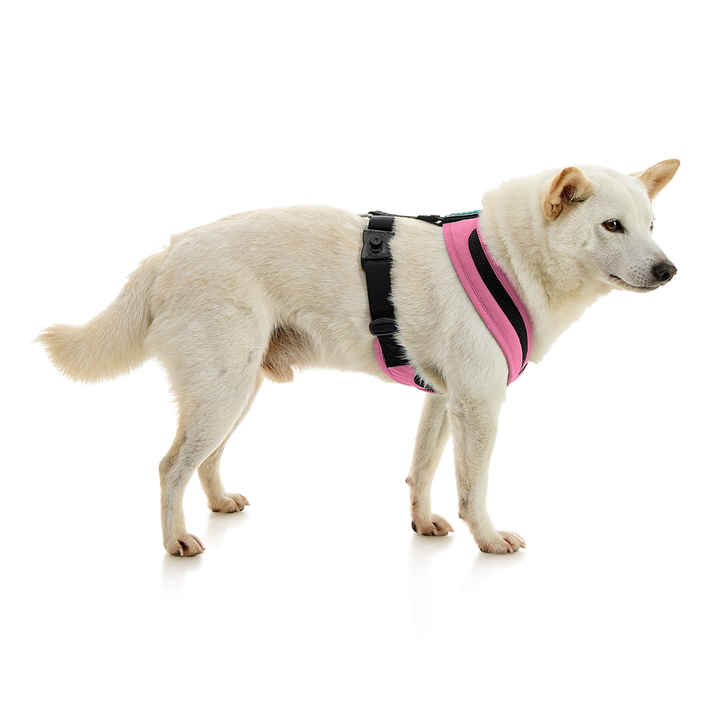 Escape Free Comfort X One Harness