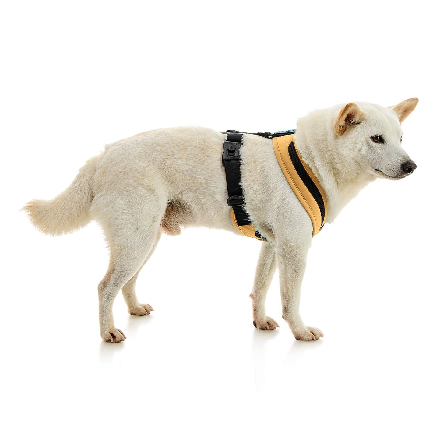 Escape Free Comfort X One Harness