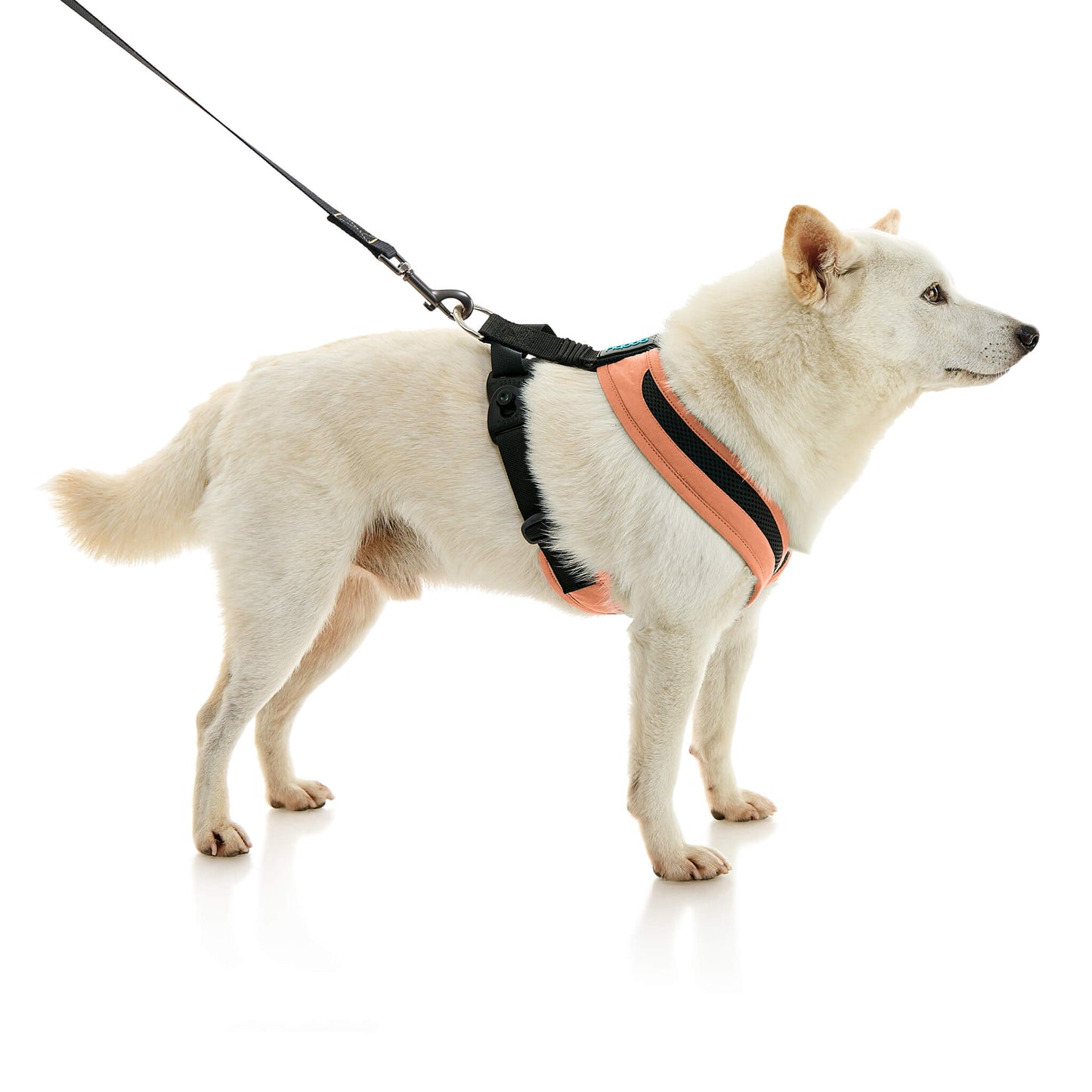 Escape Free Comfort X One Harness