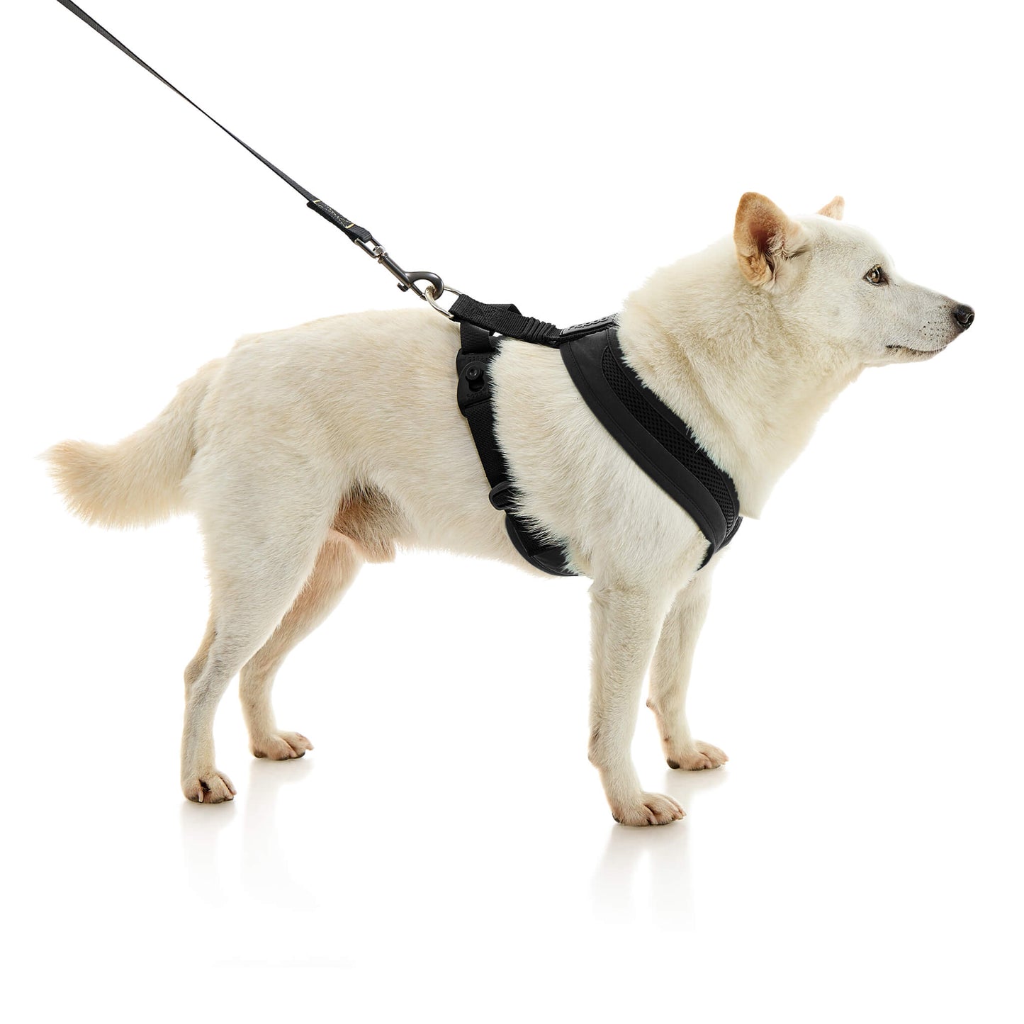 Escape Free Comfort X One Harness