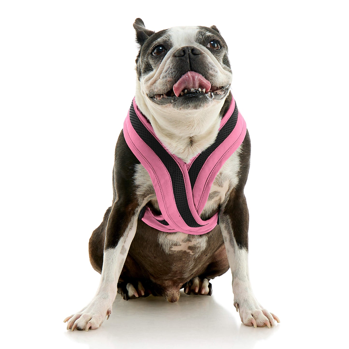 Escape Free Comfort X One Harness