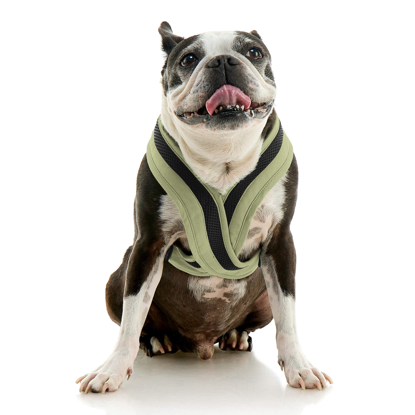 Escape Free Comfort X One Harness