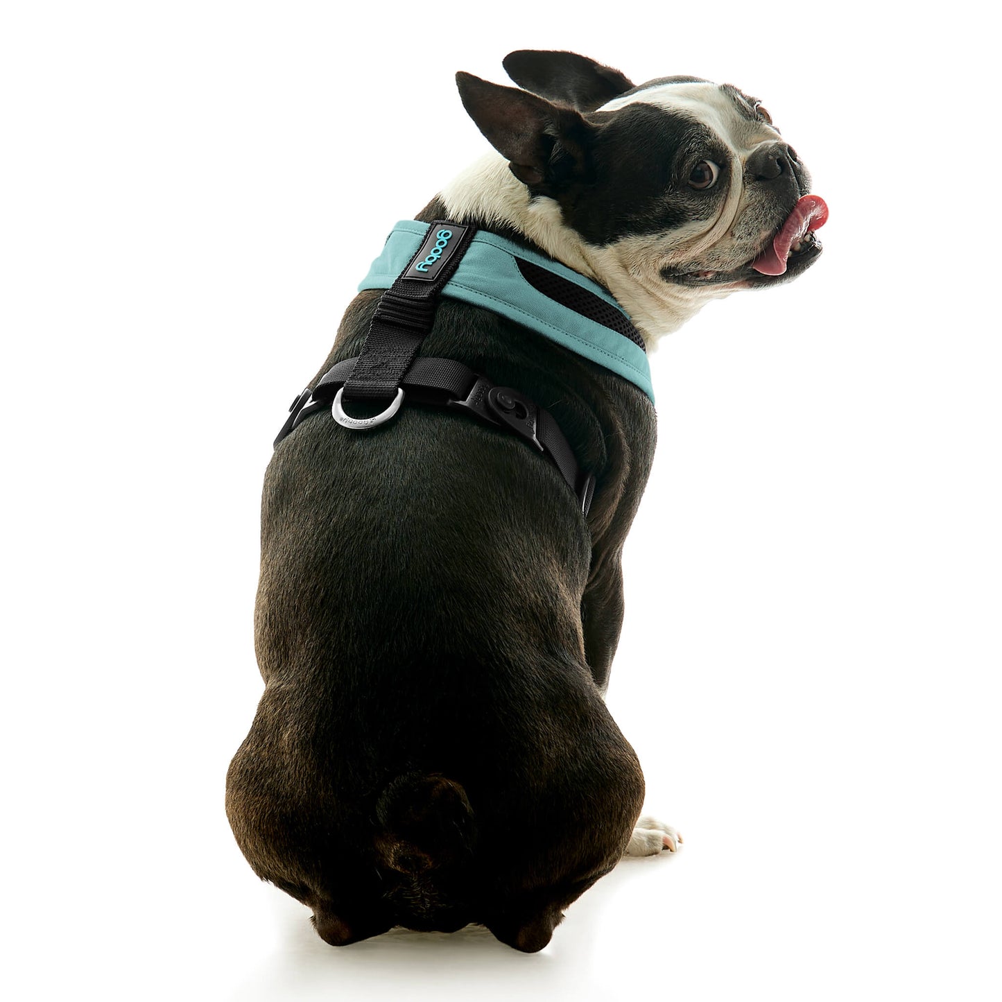 Escape Free Comfort X One Harness