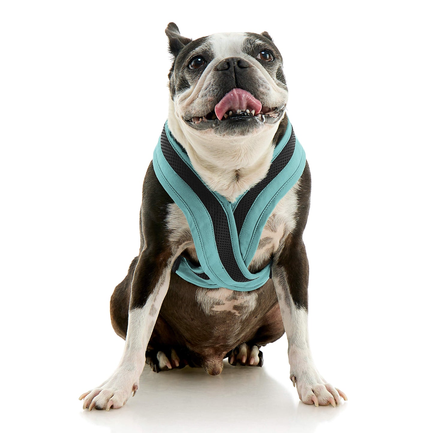 Escape Free Comfort X One Harness