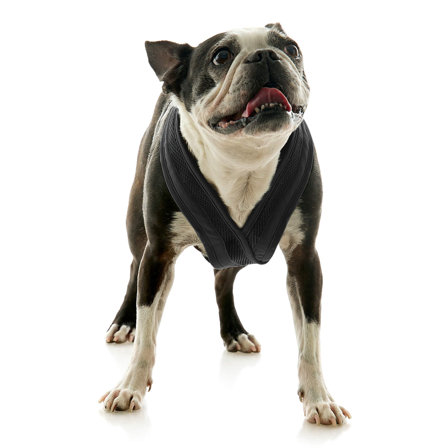 Escape Free Comfort X One Harness