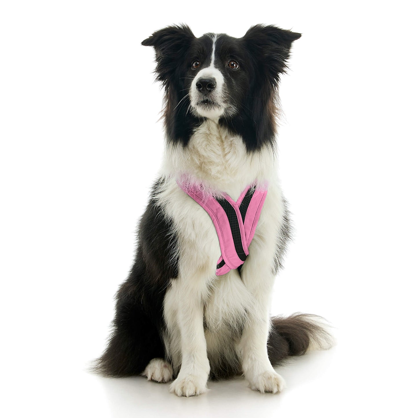 Escape Free Comfort X One Harness