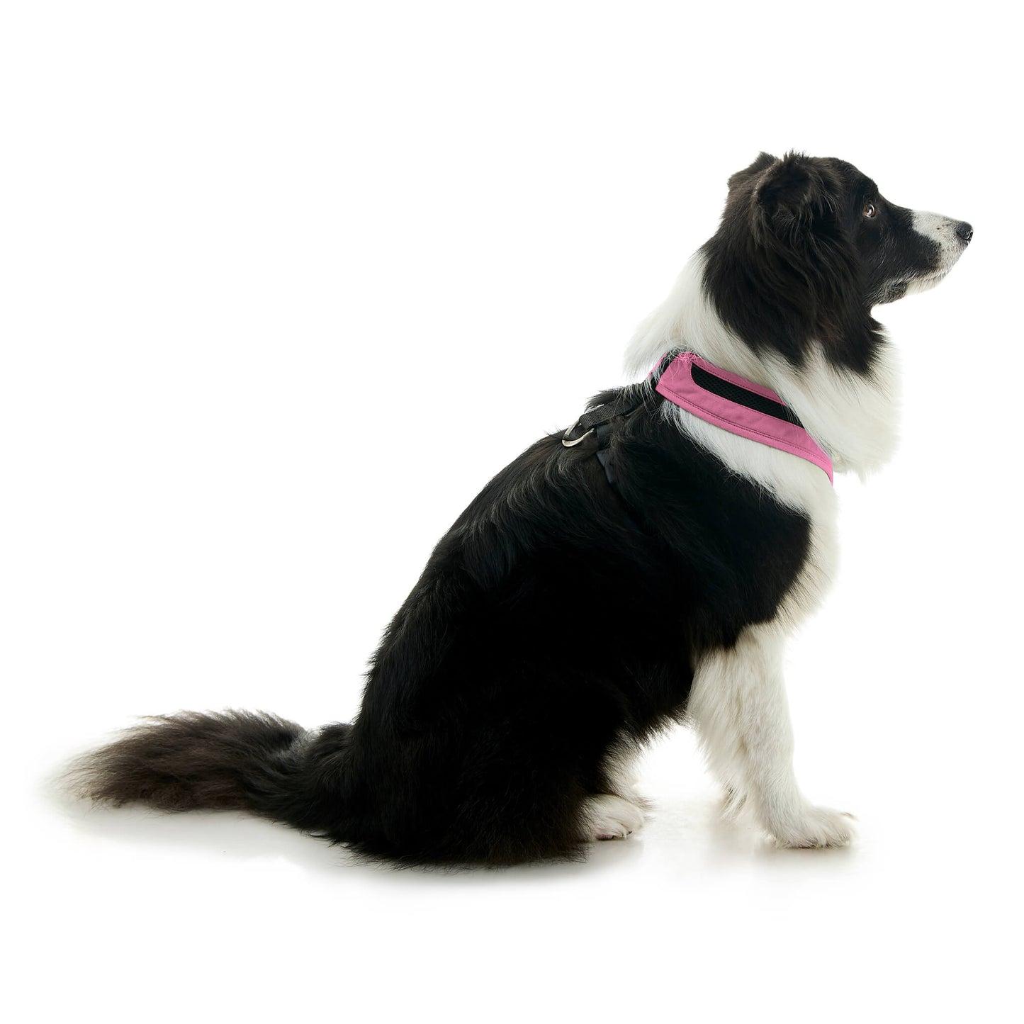 Escape Free Comfort X One Harness