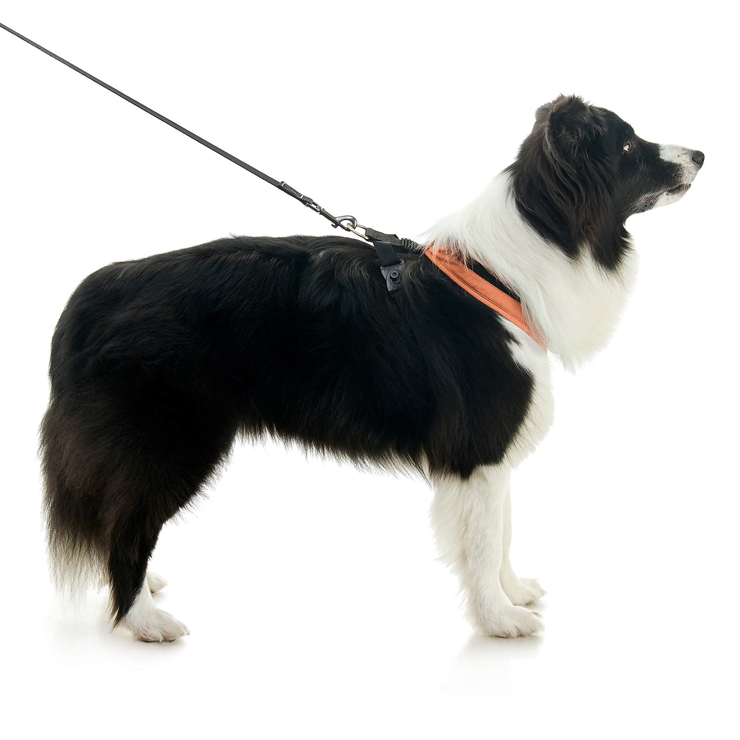 Escape Free Comfort X One Harness