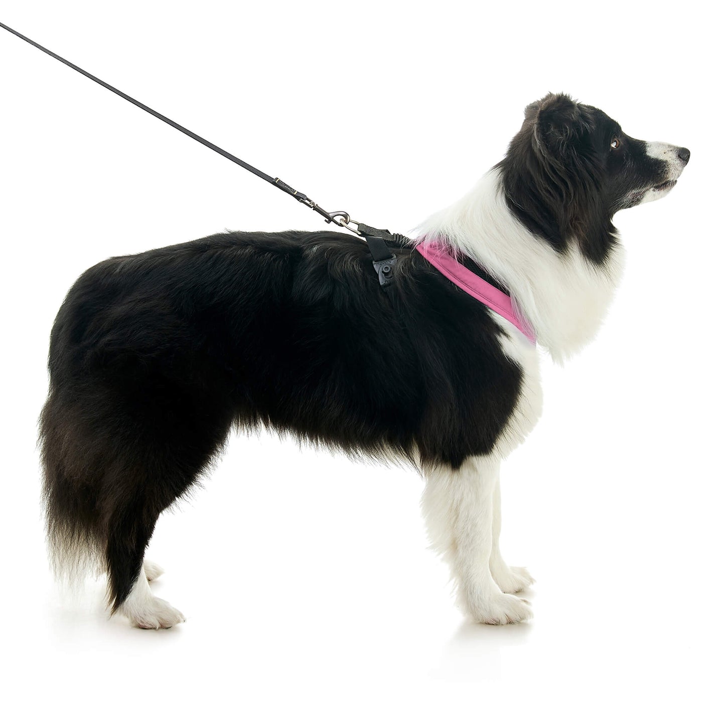 Escape Free Comfort X One Harness