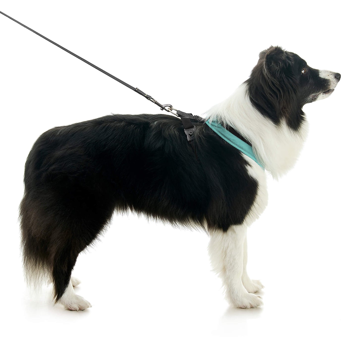 Escape Free Comfort X One Harness