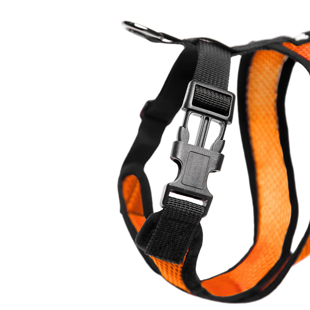 Comfort X Harness