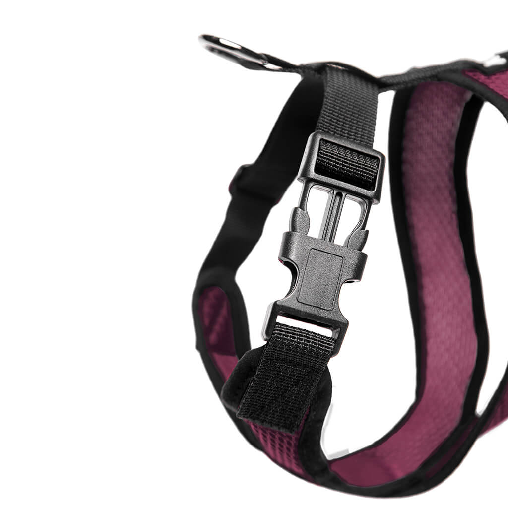 Comfort X Harness