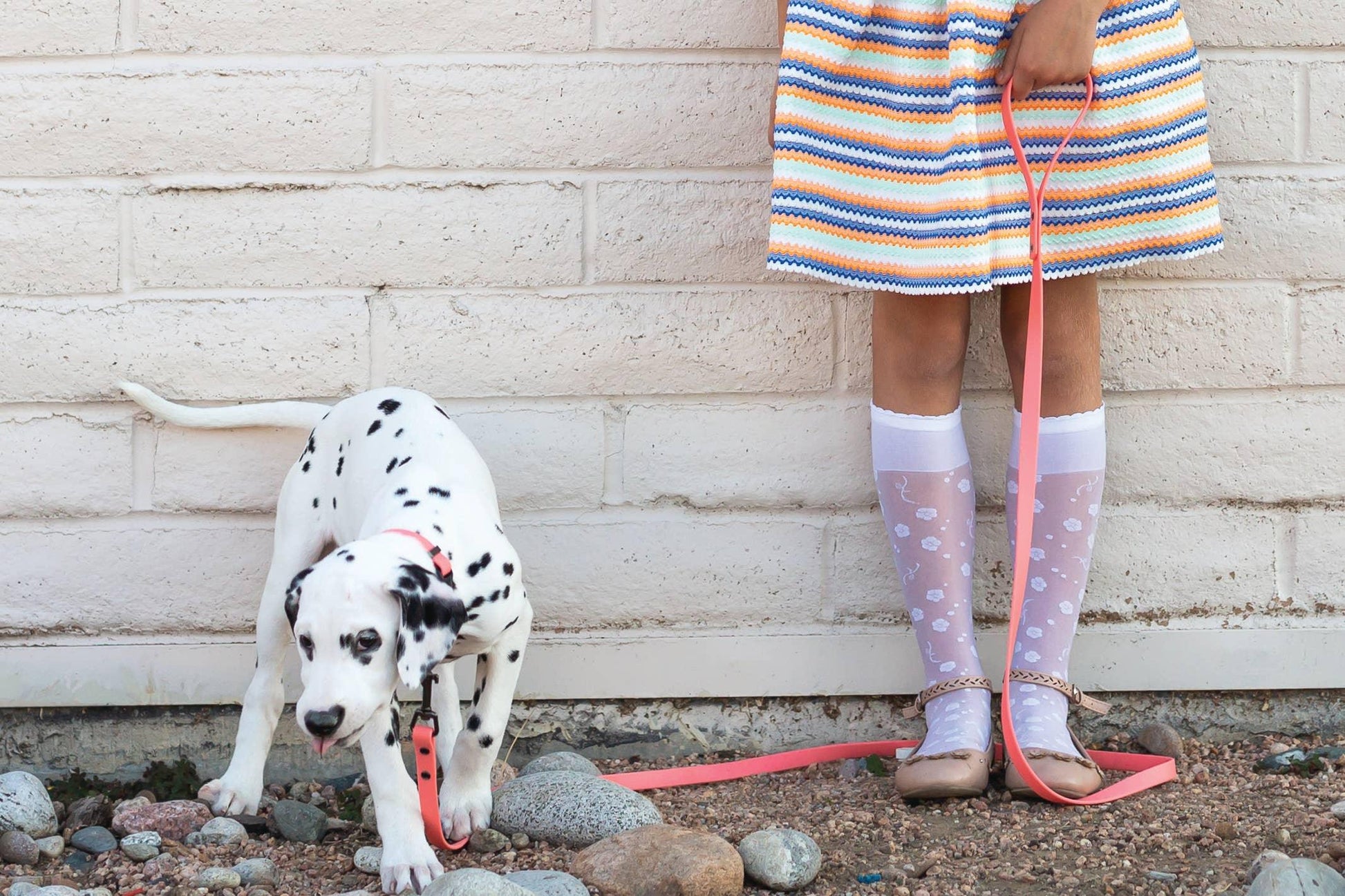 Waterproof Style Soft Dog Lead - Pet Pride Tees